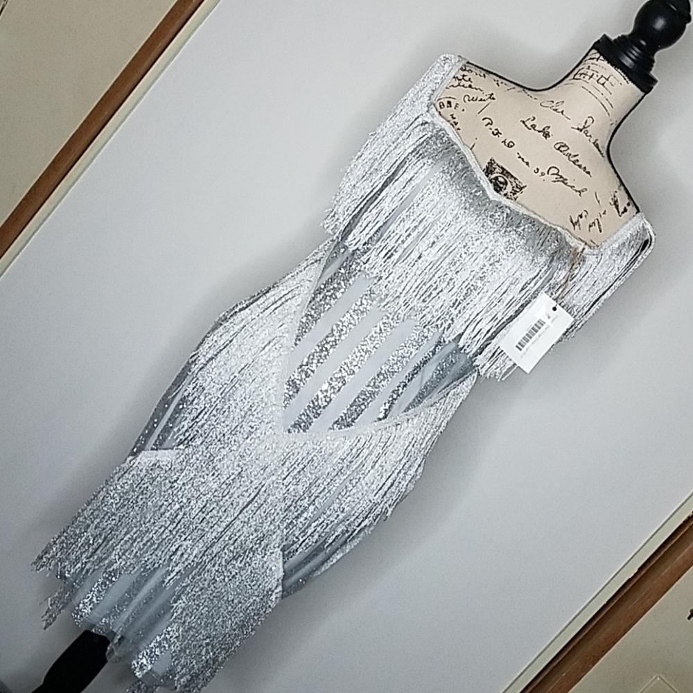 Flawless babe Boutique Fringe dress